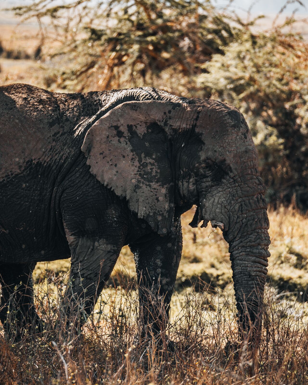 Męski wyjazd do Tanzanii, zdjęcie 7