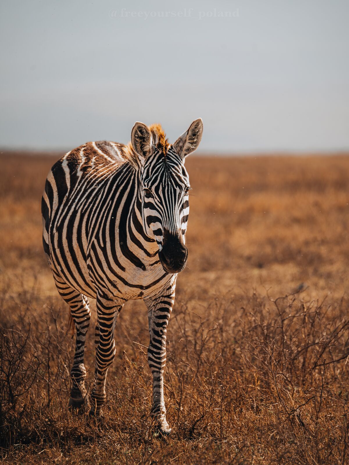 Męski wyjazd do Tanzanii, zdjęcie 8