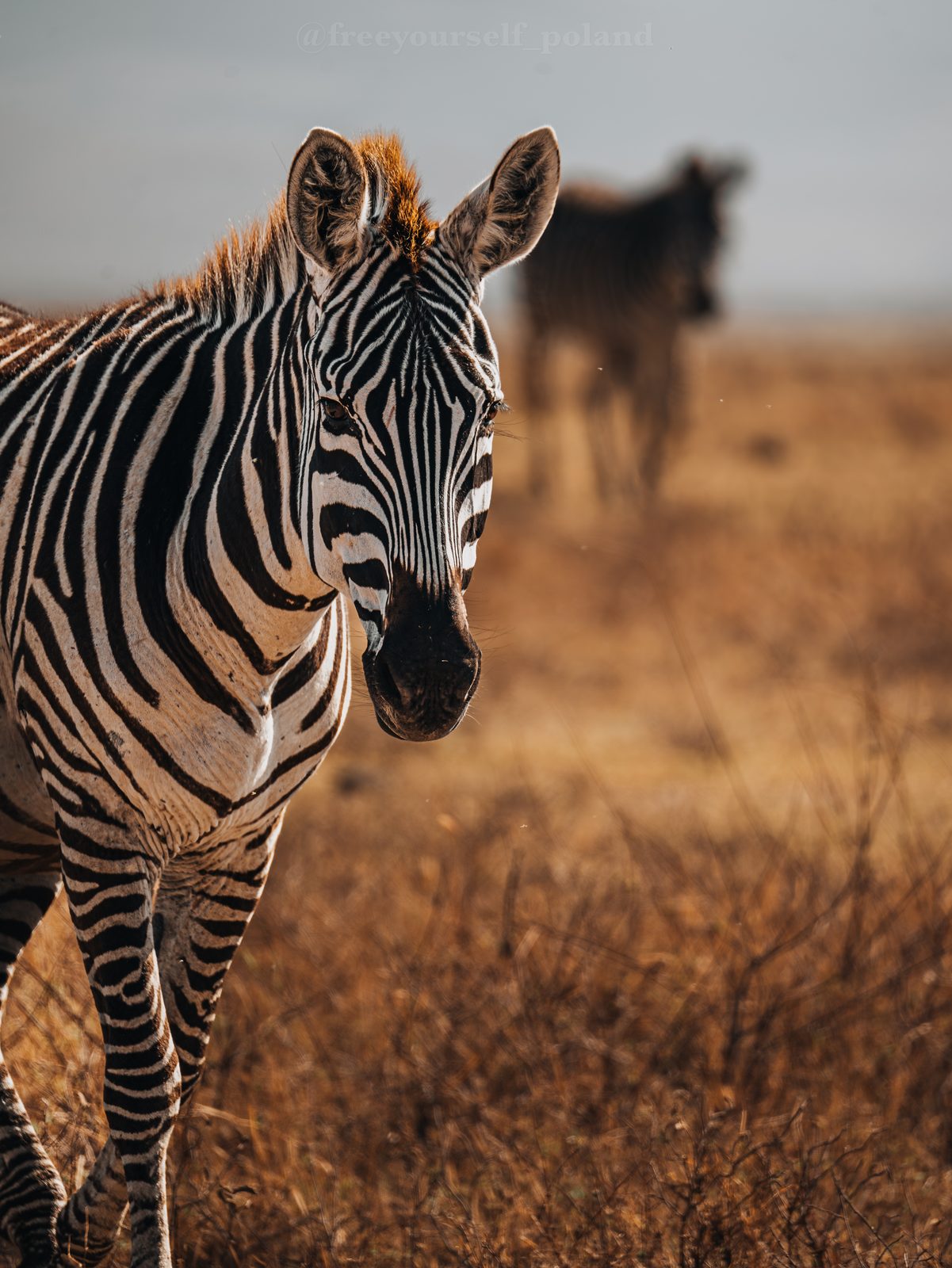 Męski wyjazd do Tanzanii, zdjęcie 43