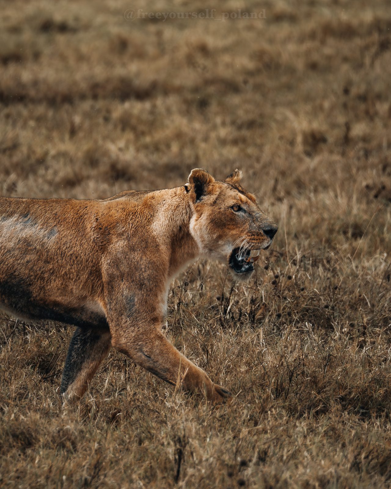 Męski wyjazd do Tanzanii, zdjęcie 53